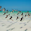 selloffvacations-prod/COUNTRY/Mexico/Isla Holbox/isla-holbox-mexico-004